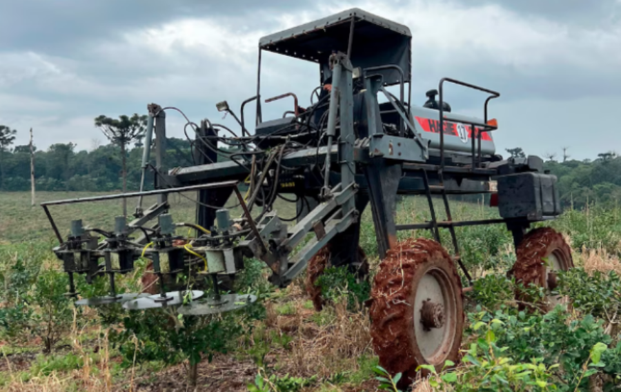 El empleo privado en la provincia de Misiones crece 1,8% en el mes de Junio, impulsado por el agro con leve aumento salarial y dinamismo en varios sectores y lidera la recuperación en Argentina