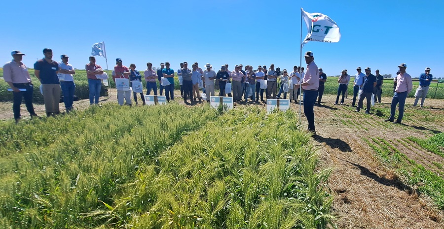 Llegó una nueva generación en genética para cultivos de invierno