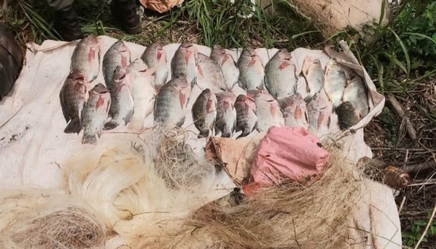 Protección ambiental: La Policía de Misiones combate la caza y pesca ilegal