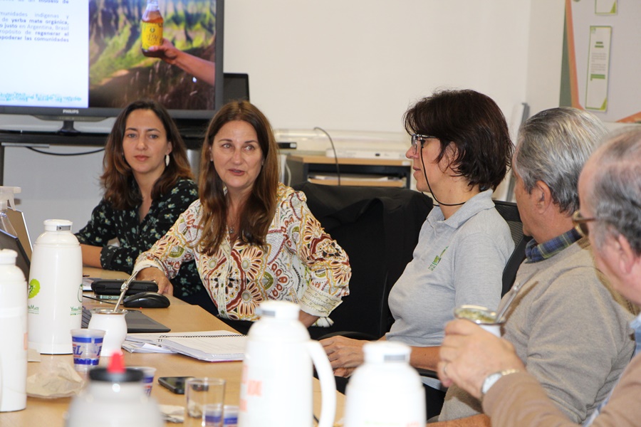 Yerba mate con sombra, la experiencia de Guayakí en el INYM