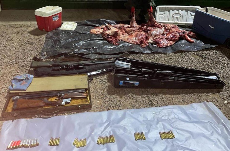 Gendarmería Nacional secuestró carne producto de la caza ilegal, al igual que las armas utilizadas