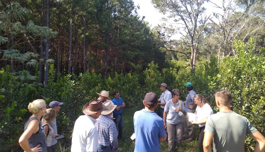 Misiones: Jornada sobre suelo, árboles y agroecología en Municipio de Los Helechos