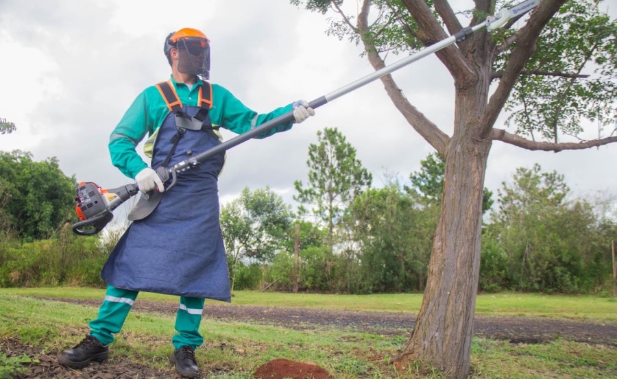 Posadas: Arranca el operativo integral de podas, el objetivo es optimizar el servicio, garantizar la seguridad y concientizar sobre la importancia del cuidado del arbolado urbano