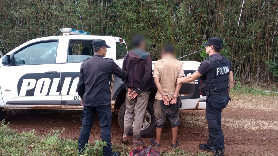 Misiones: Tras el rápido accionar policial se logró la detención de dos individuos que intentaban faenar animales vacunos en un lote de San José