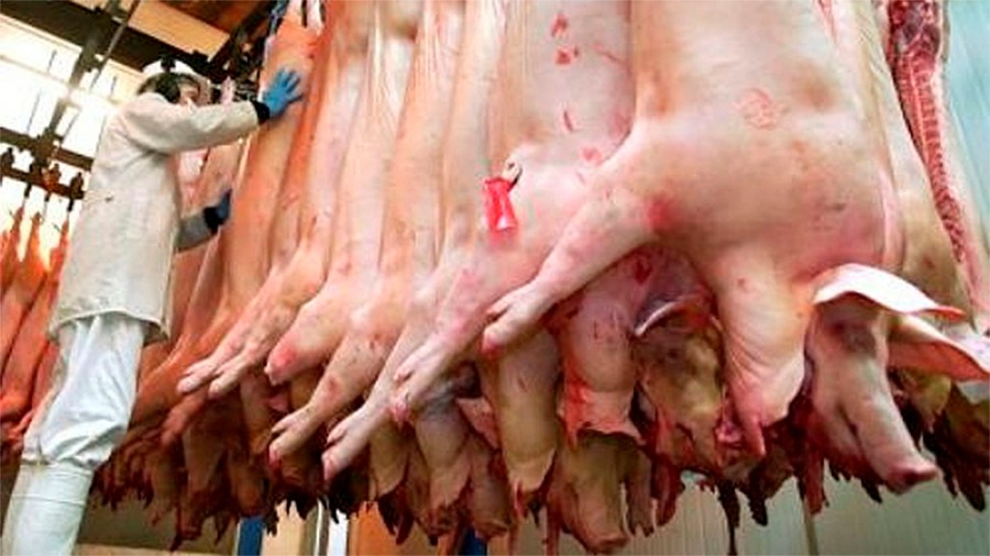 Luego de un parate de dos meses creció la faena de porcinos en el mes de Octubre