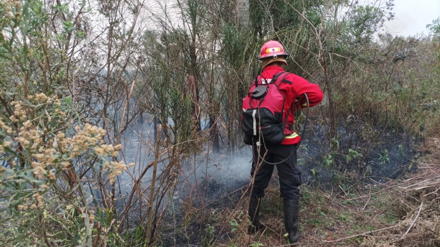 En la última semana, Bomberos de la Policía de la provincia de Misiones combatieron 46 focos de incendios