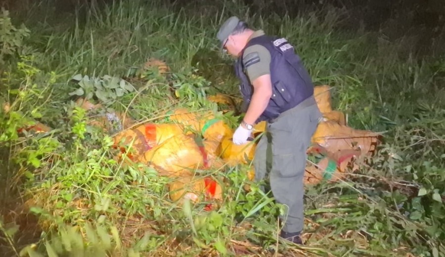 Patrulla de Gendarmería Nacional detectó 1.221 kilos de marihuana, hallaron huellas que conducían al acopio de 37 bultos entre la vegetación