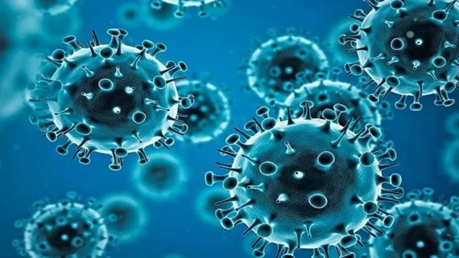 Coronavirus (COVID-19) en Argentina: Subieron 50% los contagios en una semana y crecieron levemente las muertes