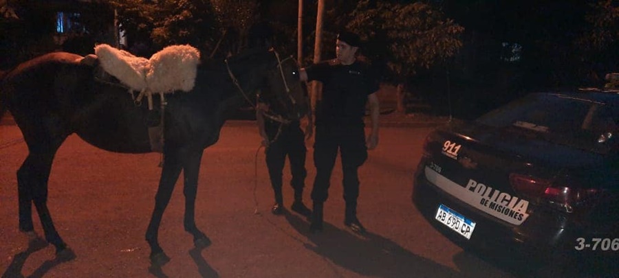 Apóstoles: Montaba un caballo en estado de ebriedad en la vía pública, donde casi había embestido a una mujer que caminaba sobre el boulevard y fue detenido