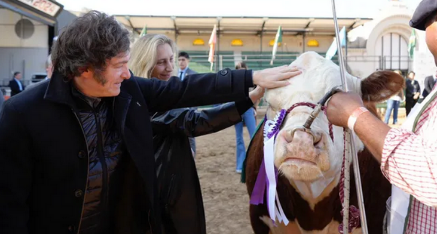 Este sábado, el Presidente Javier Milei visitará La Rural y hay expectativas por una baja de retenciones al sector cárnico