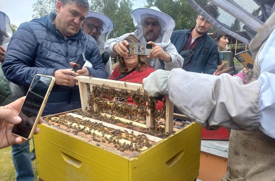 Apicultura: Un sector productivo con gran potencial en Misiones