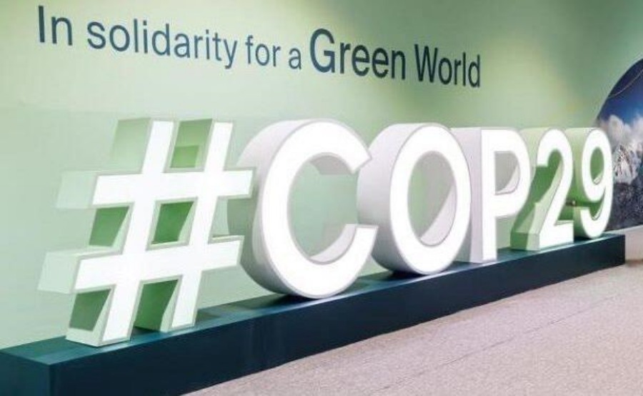 La conferencia COP29, que se celebra actualmente en Bakú, la capital de Azerbaiyán, está llegando a su fin después de 11 días de acción climática