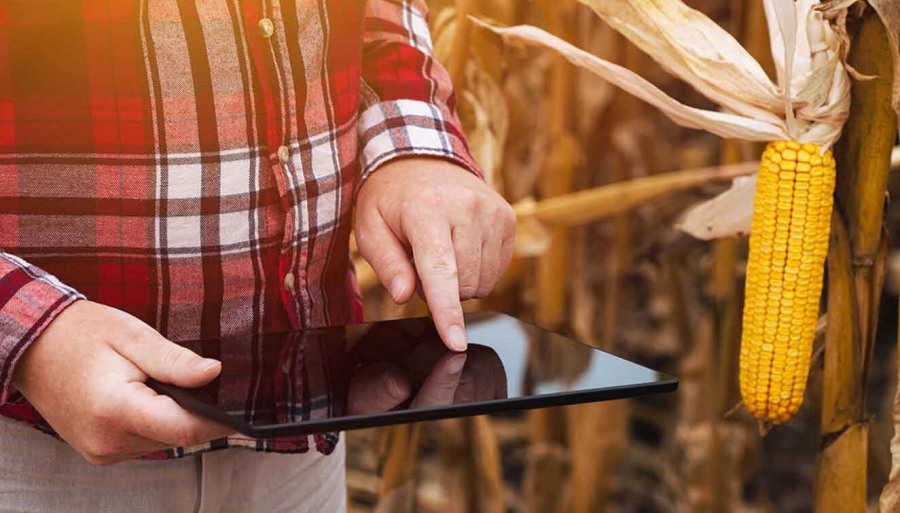 Fusión Fintech: Dos gigantes del mundo bancario se unen para potenciar un ecosistema digital del agro
