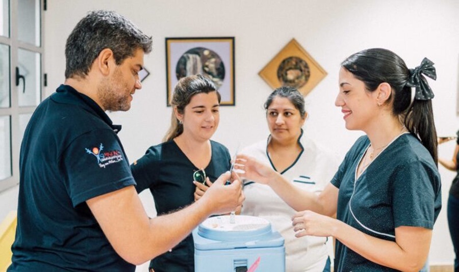 Misiones: La vacuna contra el Dengue se puede solicitar a través de la aplicación ALEGRAMED, en esta primera etapa está dirigida al grupo etario de 20 a 40 años, es de forma gratuita