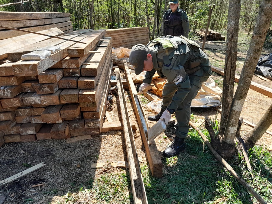 Tirantes de madera apilados en el monte tenían millonaria carga de marihuana oculta dentro de ellos