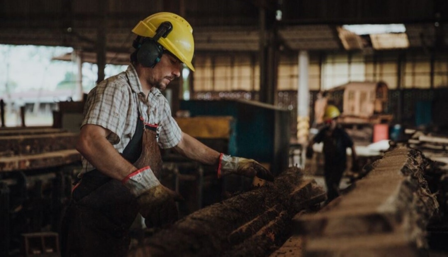 Misiones: Forestales celebran el impulso del Gobierno Provincial a las PyMEs, tras lanzamiento de nuevas líneas de créditos