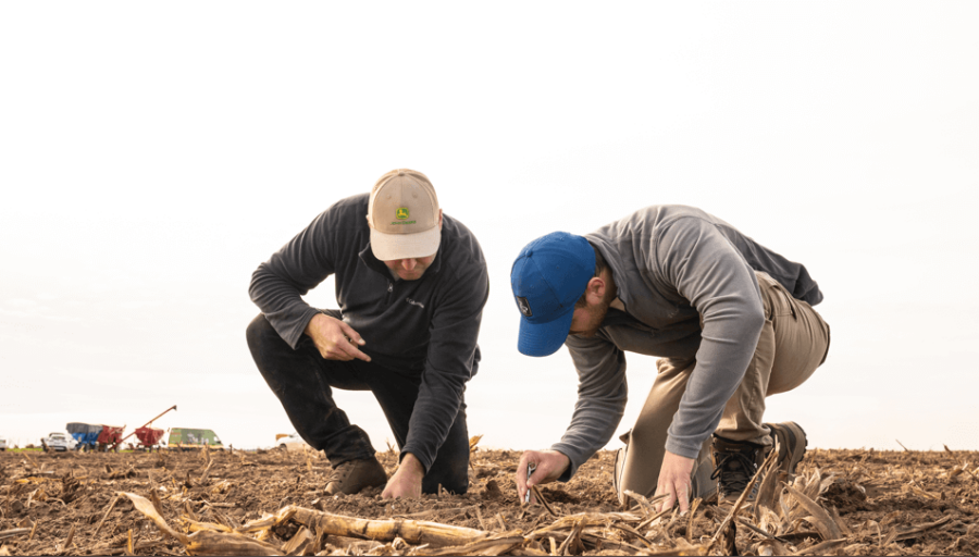En NOA y NEA, la falta de nutrientes explica hasta un 50% de las brechas de rendimiento