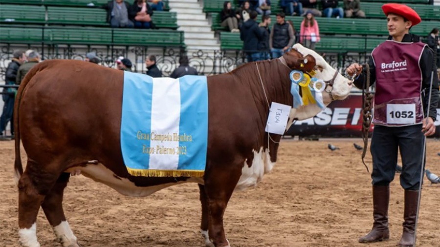 Un productor y dirigente de AFA compró a precio récord una vaca Braford en la Expo Rural de Palermo