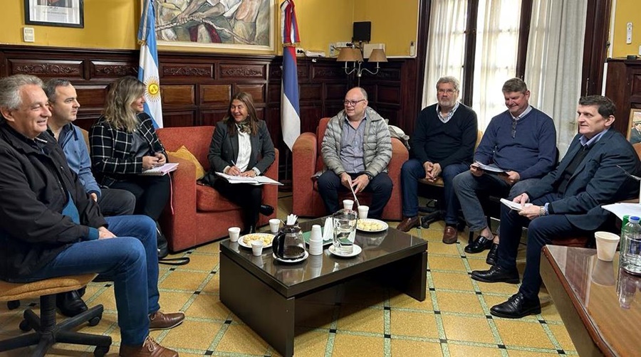 Misiones: El Ministro Adolfo Safrán se reunión con representantes de las cooperativas eléctricas de la provincia para analizar los contratos de concesiones, tarifas y beneficios