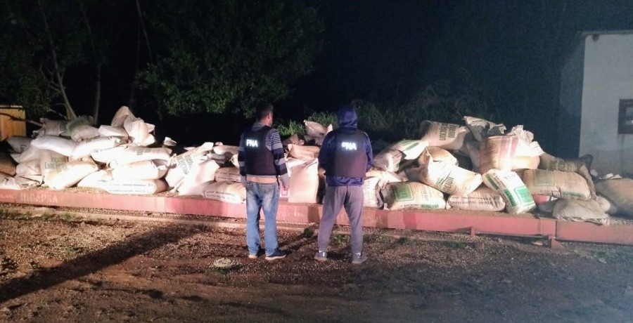Prefectura secuestró más de 9.000 kilos de soja en Misiones: El procedimiento ocurrió en la localidad de El Soberbio