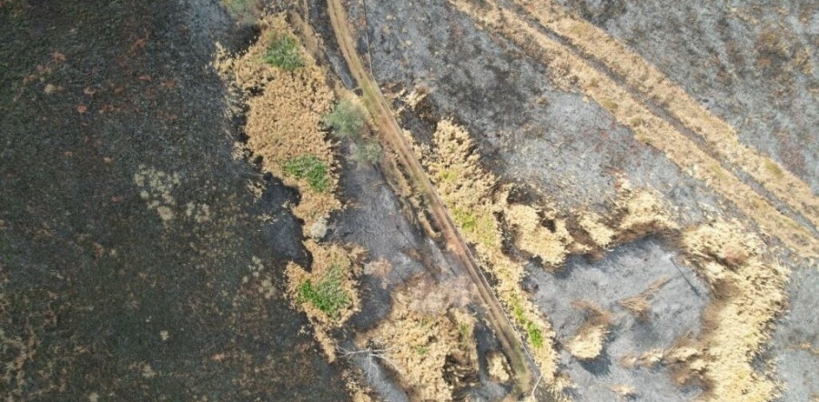 A pesar de las lluvias, la provincia de Misiones continúa en alerta roja por incendios