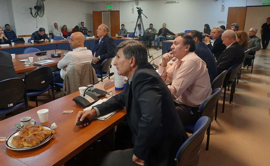El INYM brindó un detallado panorama del sector yerbatero en la Cámara de Diputados de la Nación