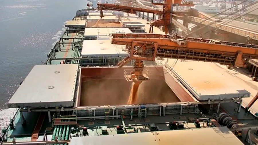 Habilitan las inscripciones para exportar cebada, trigo, soja, sorgo y maíz a China