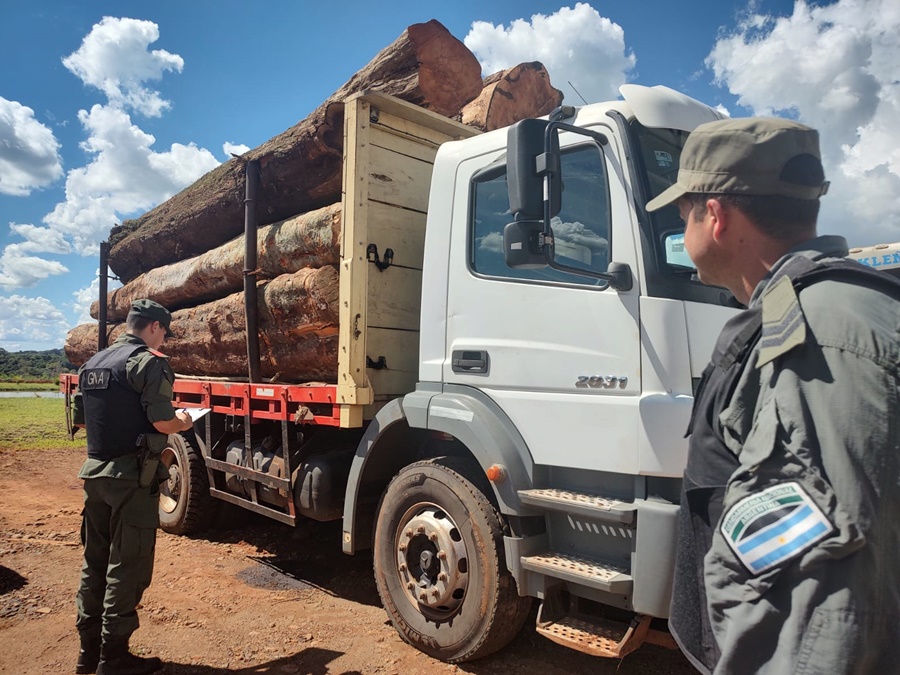 Misiones: Gendarmería Nacional incautó madera nativa sin la autorización correspondiente