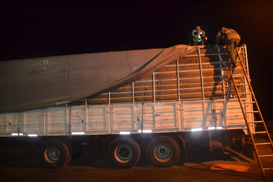 Corrientes: Gendarmería Nacional incautó soja a granel sobre la Ruta Nacional N° 14