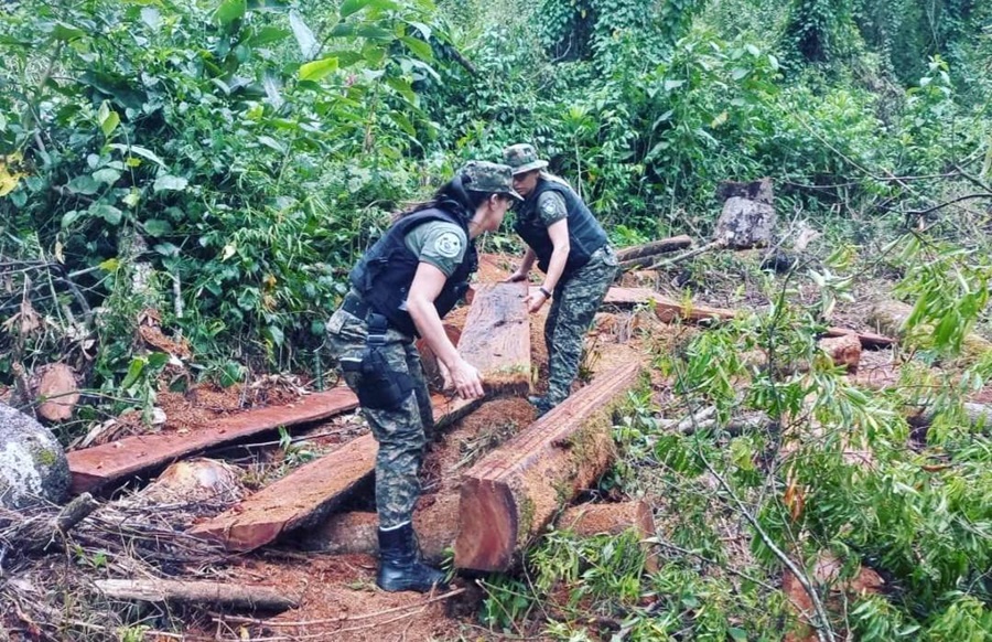Misiones: Operativos preventivos en zonas rurales, la Policía logró la disminución de los delitos más comunes, reducción en los índices de sustracción de yerba mate en un 80%, el abigeato en un 65% y el apeo en un 50%