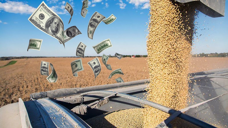 «Dólar Exportación», el nuevo índice para los negocios agropecuarios que ya genera adeptos