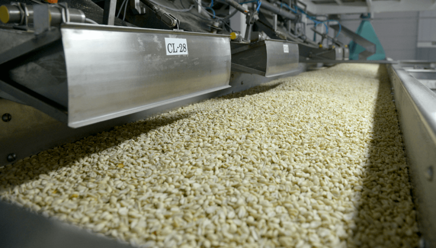 Aumentaron 30%: El maní argentino es campeón mundial en exportaciones