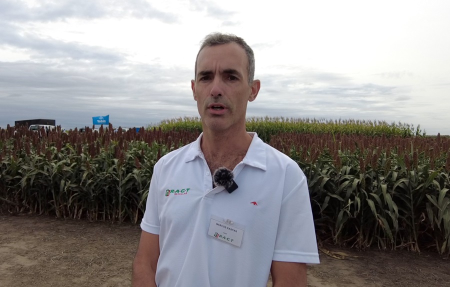 RAGT Semillas lanza su línea de trigo y avanza en cebada y arvejas