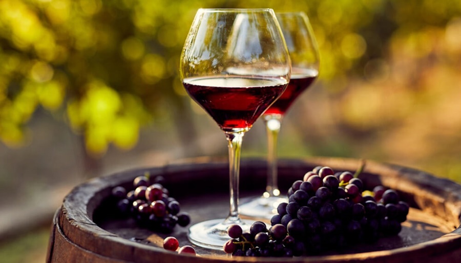 “No funcionó”: La cadena del vino pide cambios en el "dólar agro"
