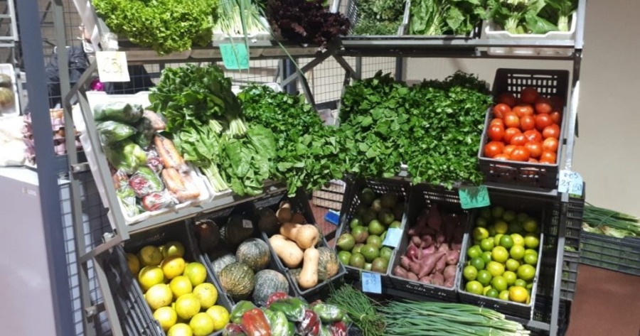 El Gobierno Provincial continúa sosteniendo a la Misiones productiva y apuesta a su crecimiento con políticas eficientes