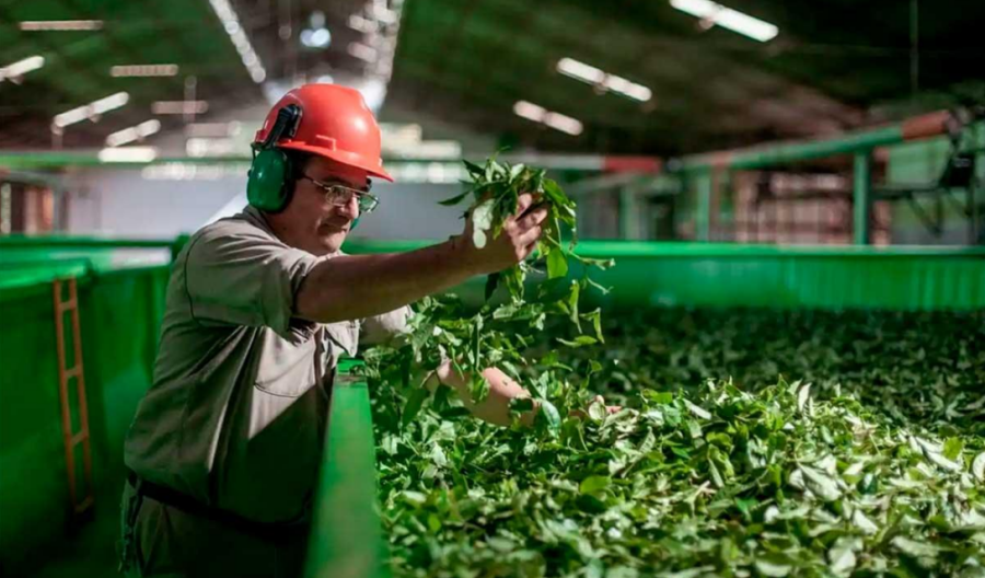 El Gobierno de Misiones renueva su apoyo al sector productivo con la prórroga de líneas de crédito estratégicas