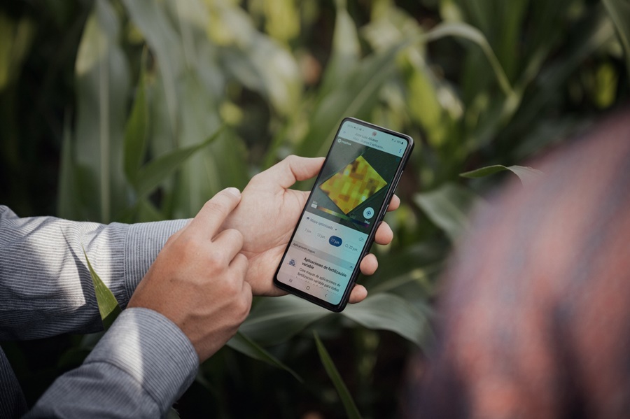 La agricultura regenerativa y su impacto positivo en el ambiente