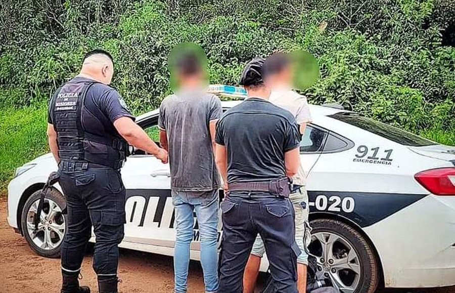 Misiones: Patrullas rurales evitaron que se robaran raídos de yerba mate en una chacra