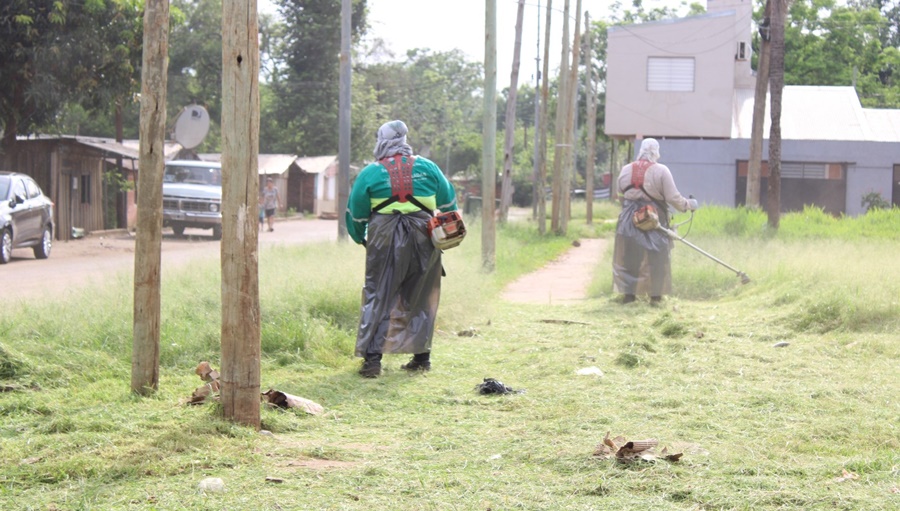 Posadas: Refuerzan los operativos de control focal en los barrios del Municipio