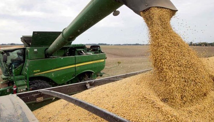 En 20 años, el Gobierno extrajo del campo 200.000 millones de dólares, la misma cifra que invirtió Brasil para impulsarlo