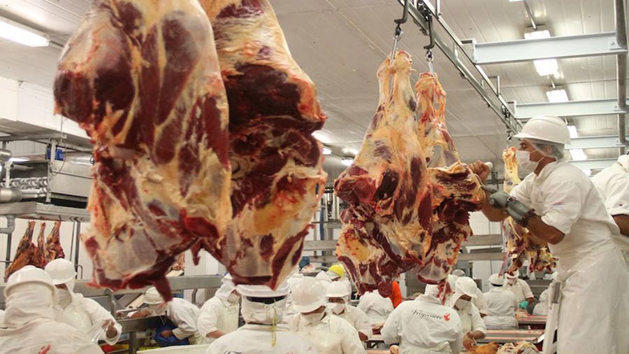 Fuerte suba de la faena bovina en Mayo, con respecto a Abril la suba fue del 8.7% y medida interanualmente, en más del 10%