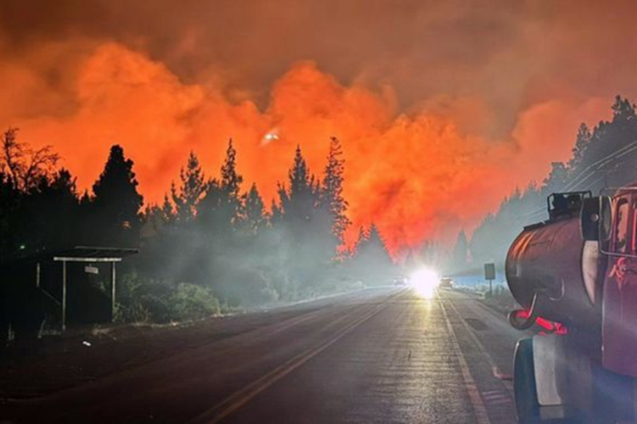 Incendios sin control en El Bolsón: “Se está quemando todo”, alertó el intendente