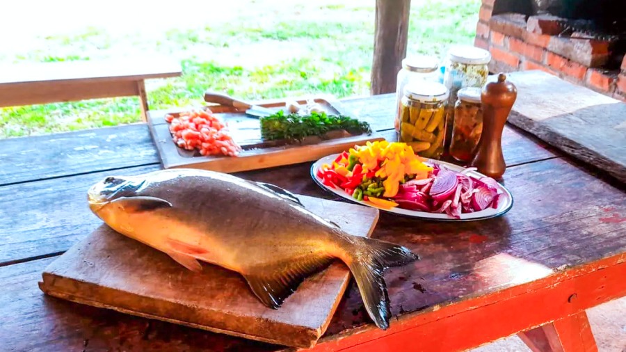 La piscicultura crece en la provincia de Misiones, proyección de una producción en expansión