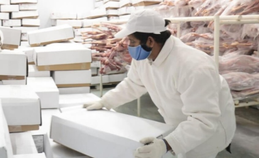 Nuevo mercado: Argentina comenzará a exportar carnes ovinas y caprinas a Marruecos