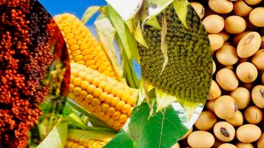 El sector agroindustrial exportó casi 33.000 millones de dólares durante el primer semestre del año