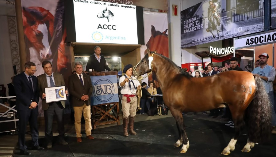 Los caballos criollos hicieron historia en La Rural: Los declararon “Marca País” y tuvieron un remate récord
