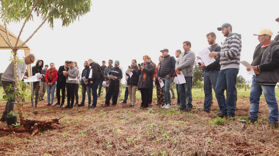 Presentaron avances de ensayos en la Jornada de Mandioca en el localidad misionera de Montecarlo
