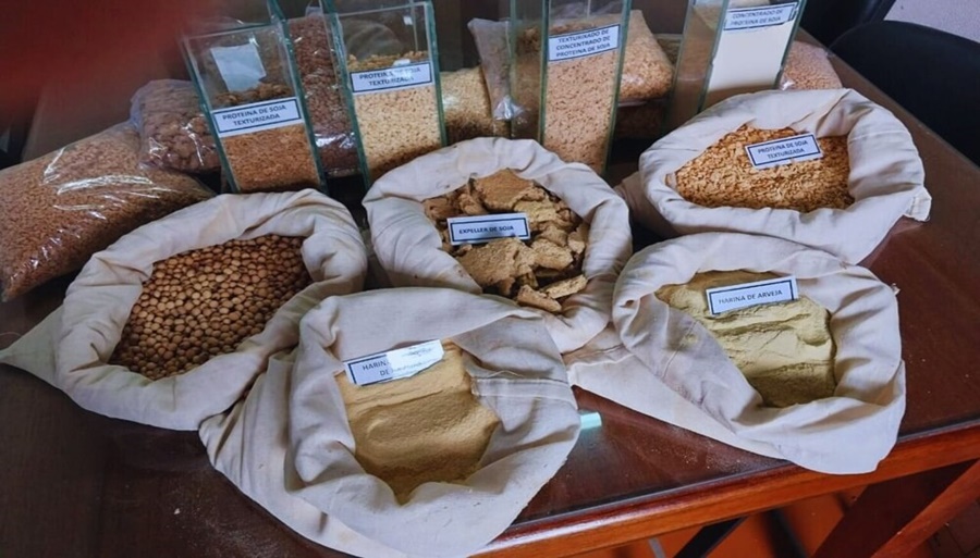 Lanzan un clúster para promover el desarrollo y exportación de texturizados de soja