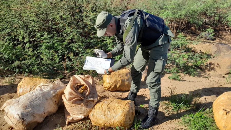 Gendarmería Nacional secuestró más de 230 kilos de marihuana: Los bultos que contenían el estupefaciente se encontraban acopiados en cercanías al límite internacional fronterizo