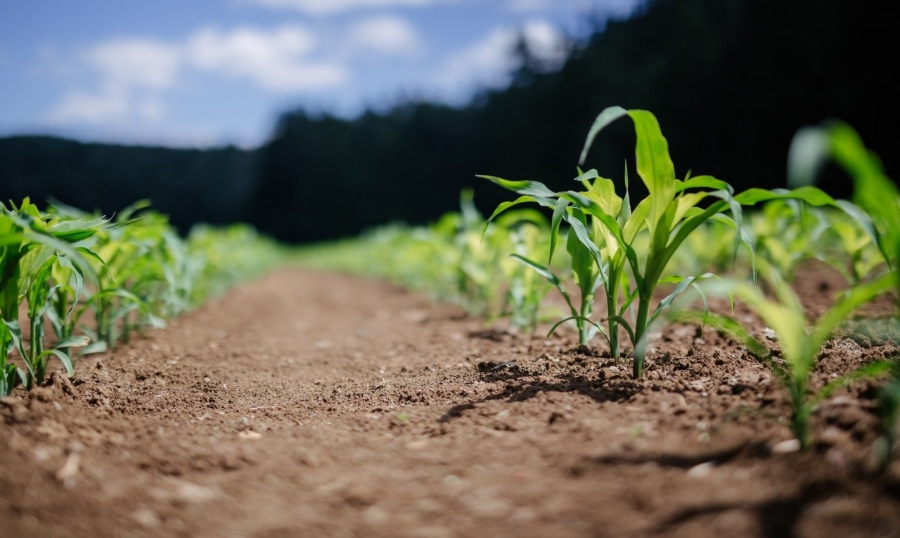 Posadas: Se reunirán para constituir la Mesa Agroalimentaria y potenciar la economía local